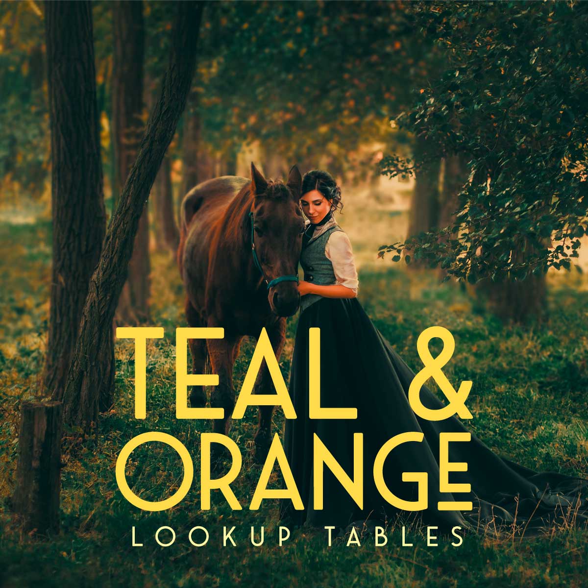 Teal and Orange Lookup Tables Product Pack Cover